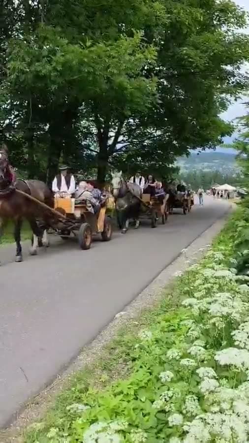 Bryczka z gośćmi na drodze pod panoramą Tatr